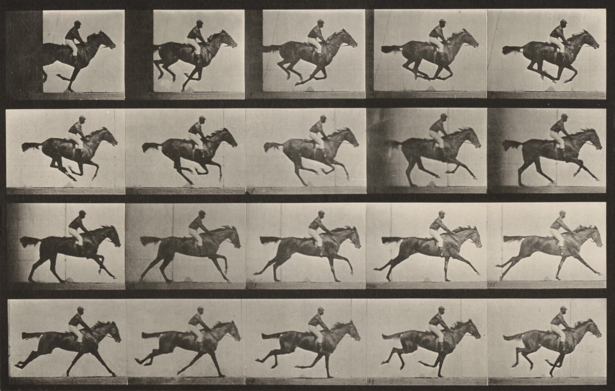Plaat nummer 627. „Annie G.” in galop door Eadweard Muybridge