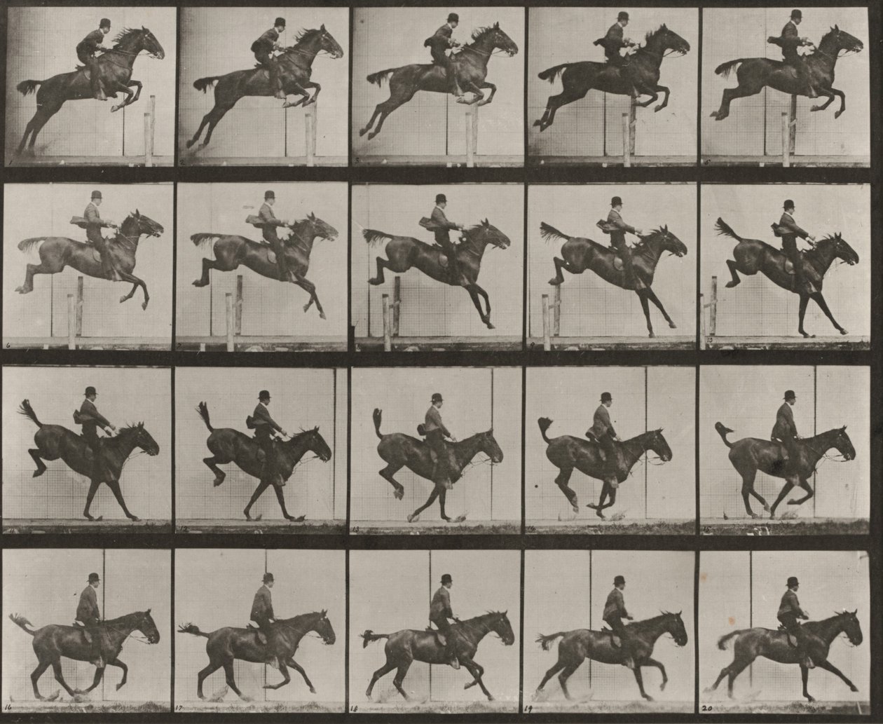 Plaat nummer 637. "Daisy" springt over een hindernis, gezadeld, bij het nemen, landen en herstellen door Eadweard Muybridge