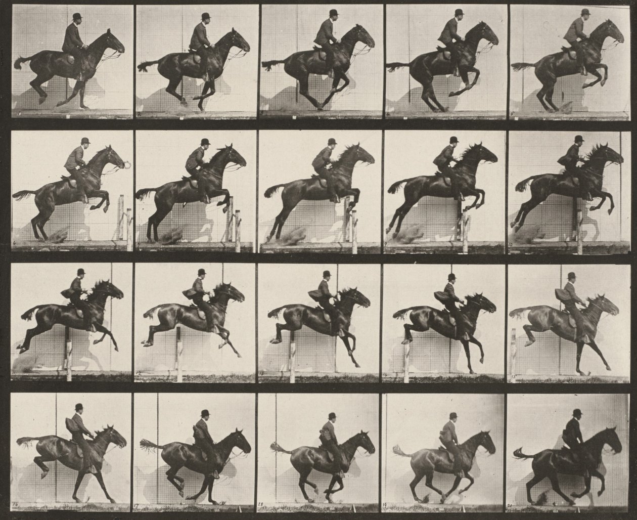 Plaat nummer 640. "Daisy" springt gesadeld over een hindernis door Eadweard Muybridge