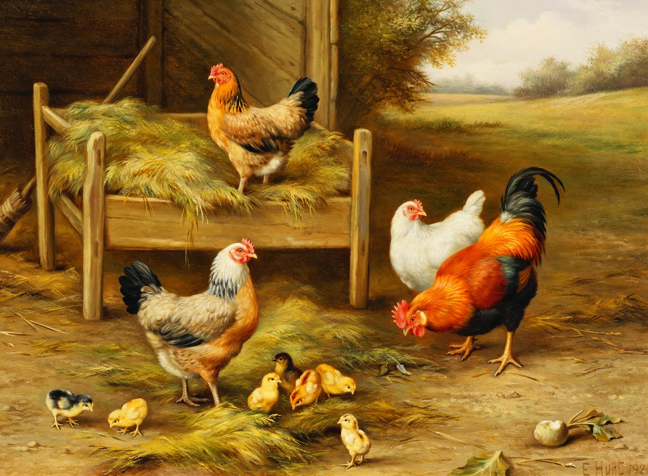 Kippen en kuikens voeren door Edgar Hunt