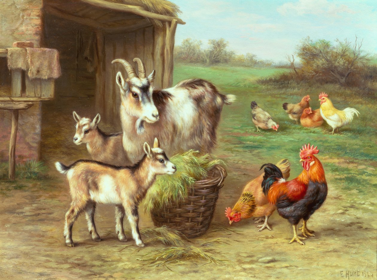 Kippen en geiten voeren op een boerenerf door Edgar Hunt
