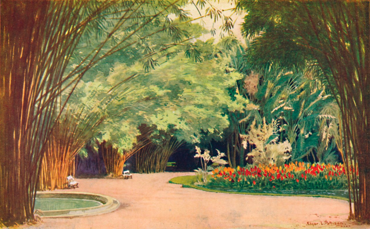 Een bamboebos - Botanische tuinen door Edgar L. Pattison