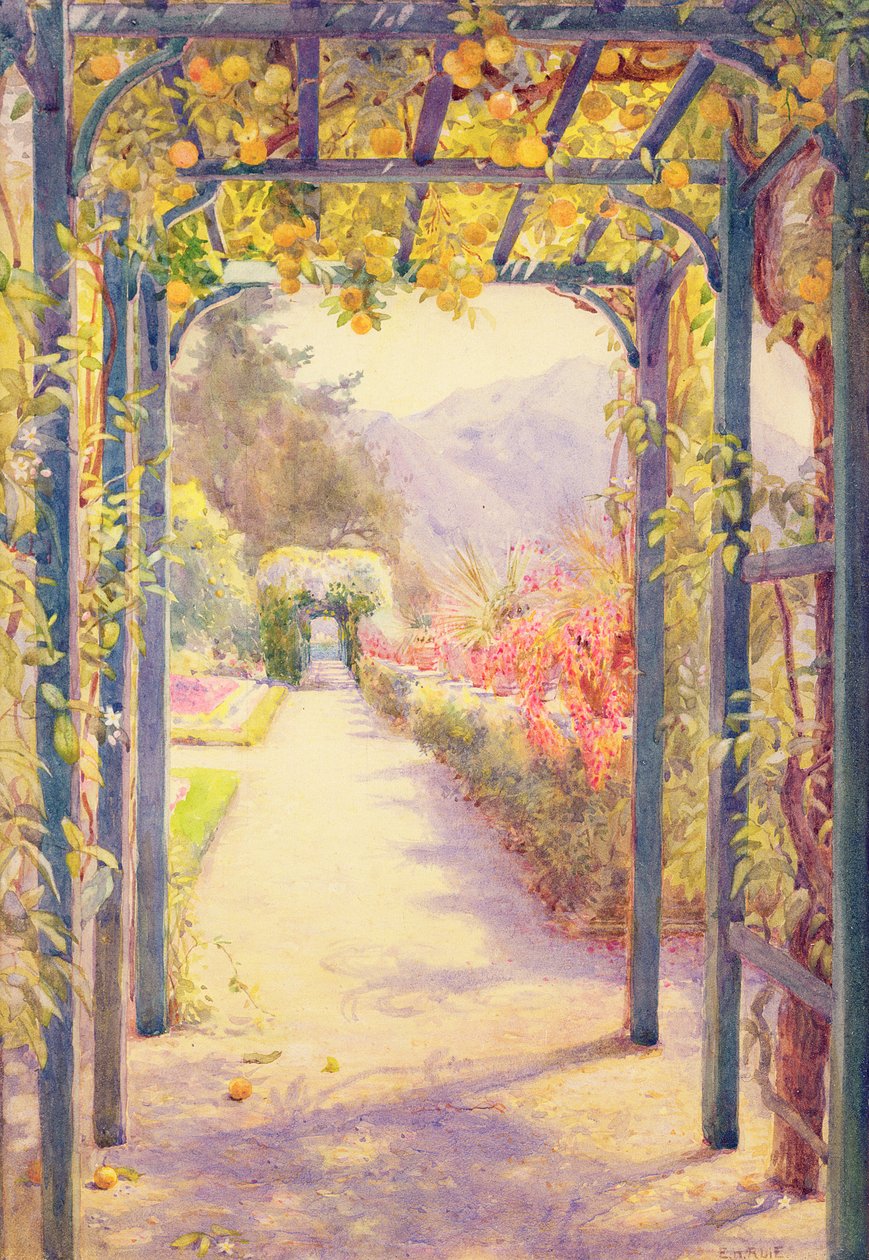 Een Italiaanse Pergola door Edith Helena Adie