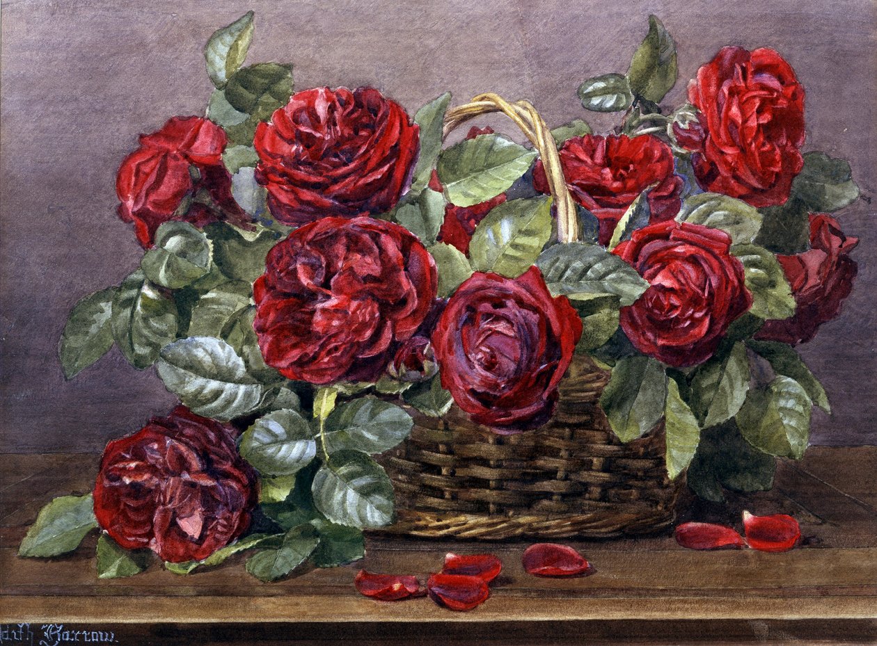 Rode rozen. Schilderij van Edith Isabel Barrow (overleden 1930) Privécollectie. door Edith Isabel Barrow