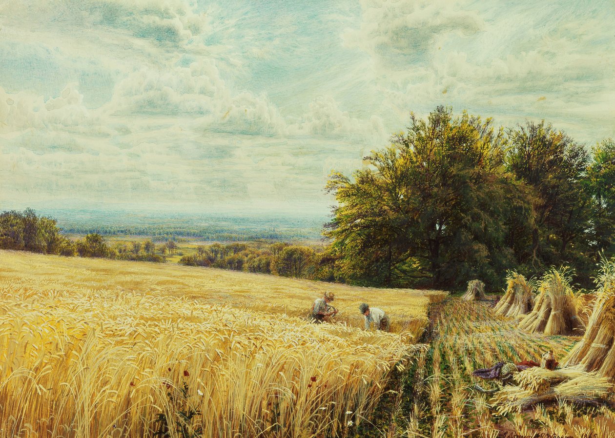 De oogsters, 1865 door Edmund George Warren