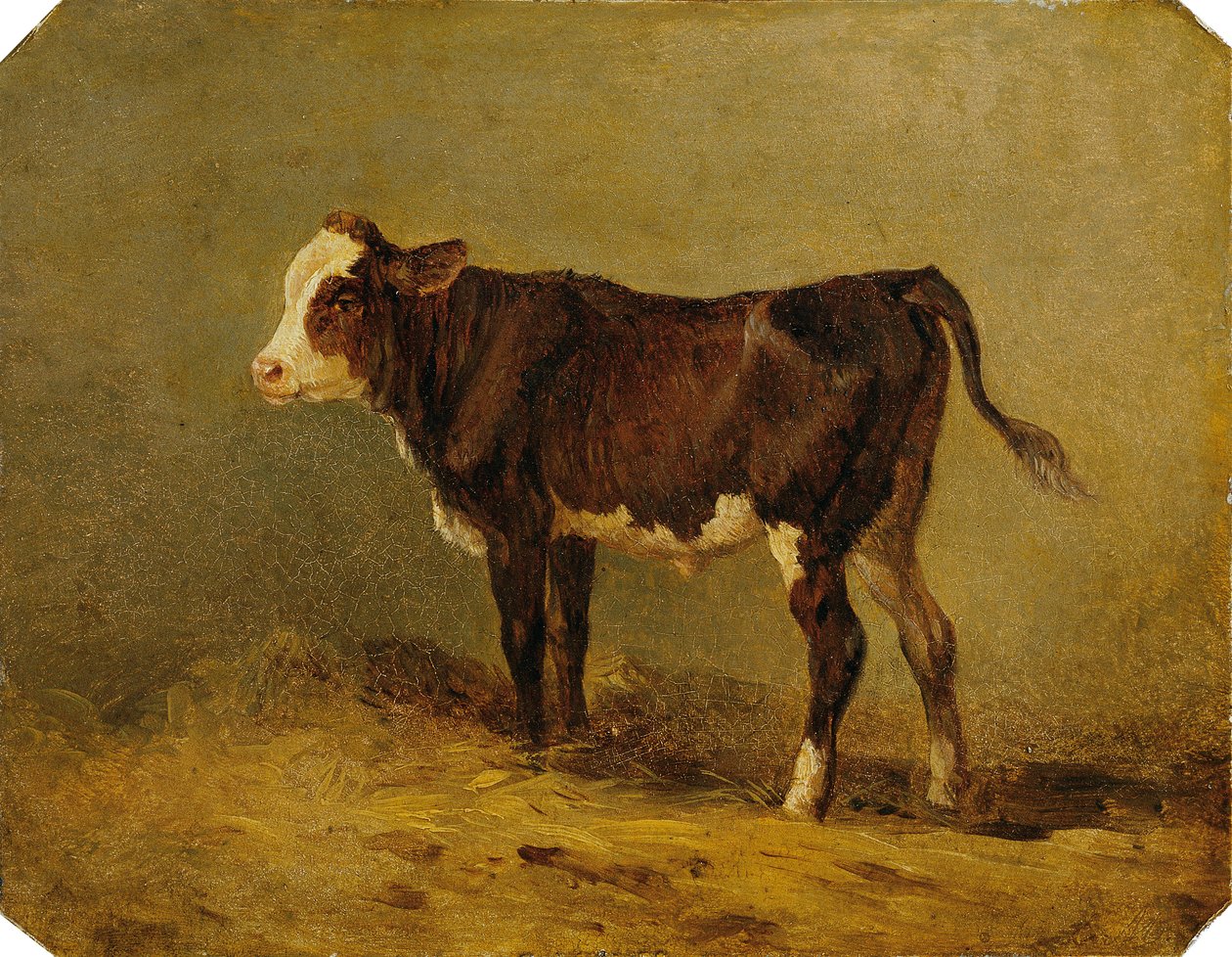 Kalfje door Edmund Mahlknecht
