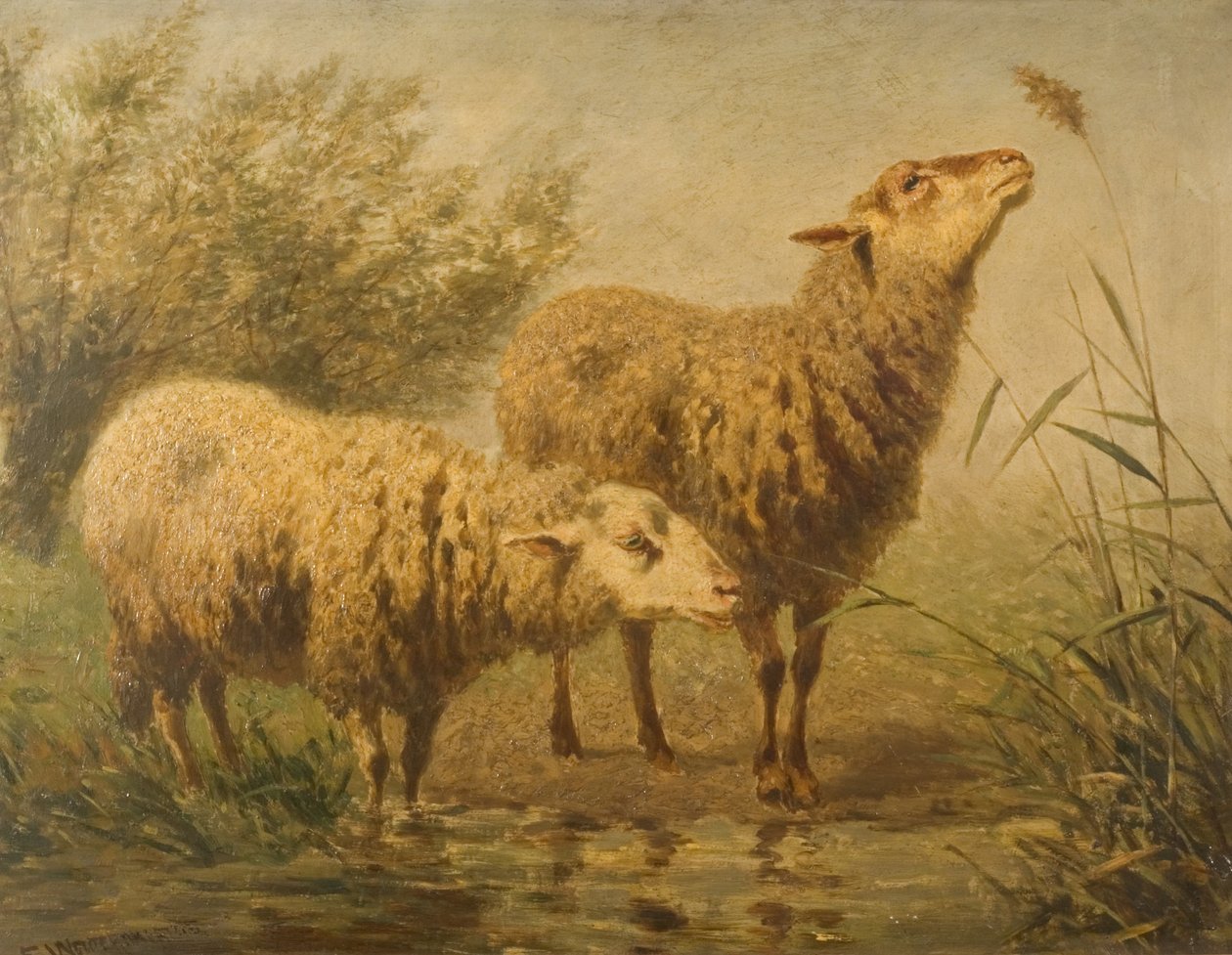 Studie van schapen door Edouard Woutermaertens