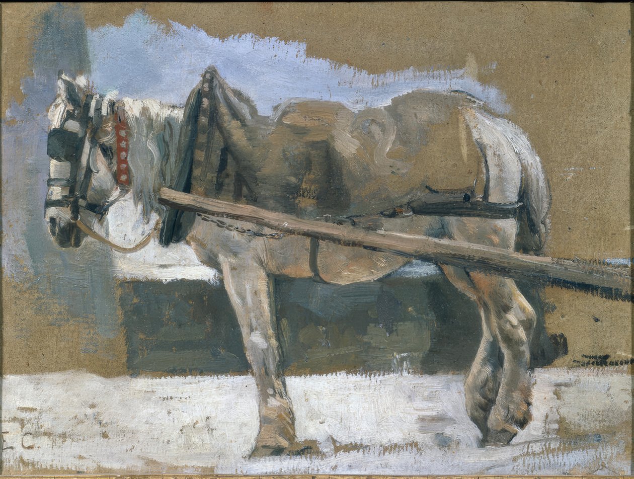 Gezäumtes Pferd von Edouard Castres