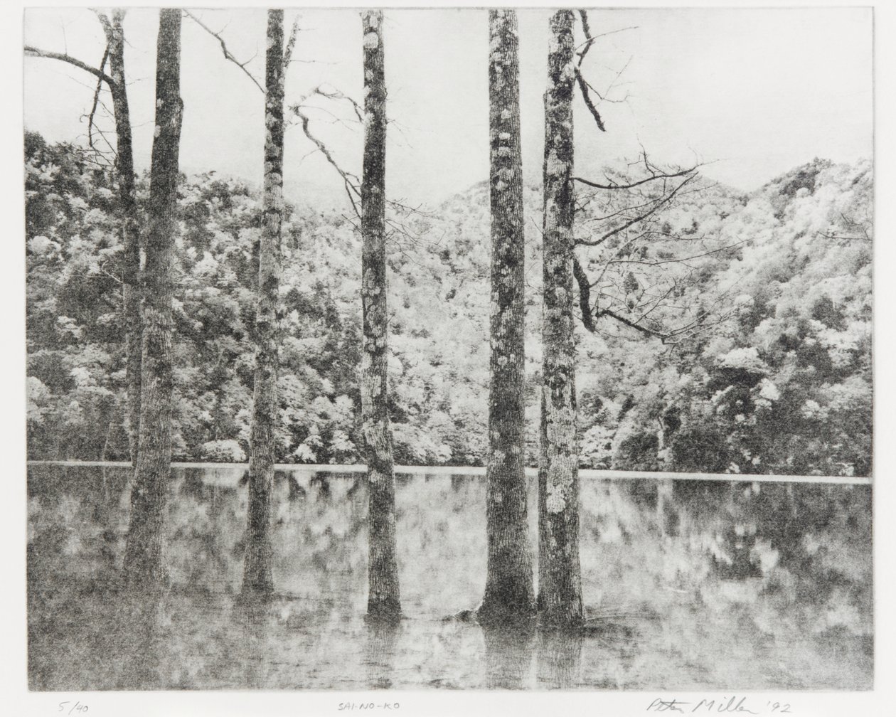 Sai-no-Ko, 1992 door Edouard Cremieux