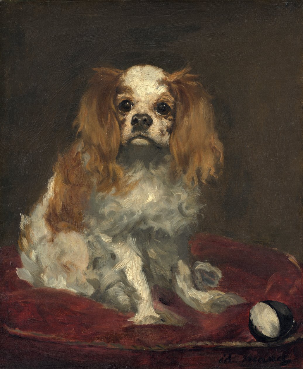 Een King Charles Spaniël, c.1866 door Édouard Manet