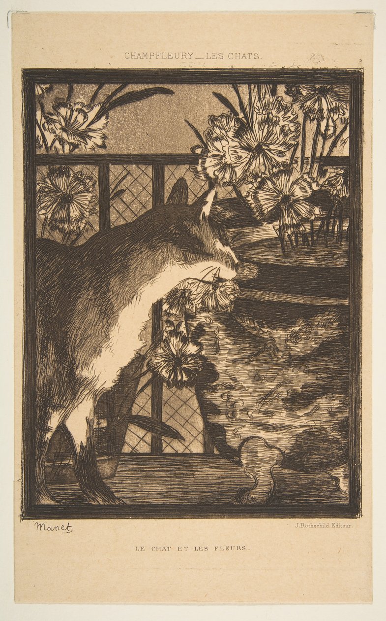 Kat en bloemen. Illustratie bij De Katten door Champfleury, 1869 door Édouard Manet