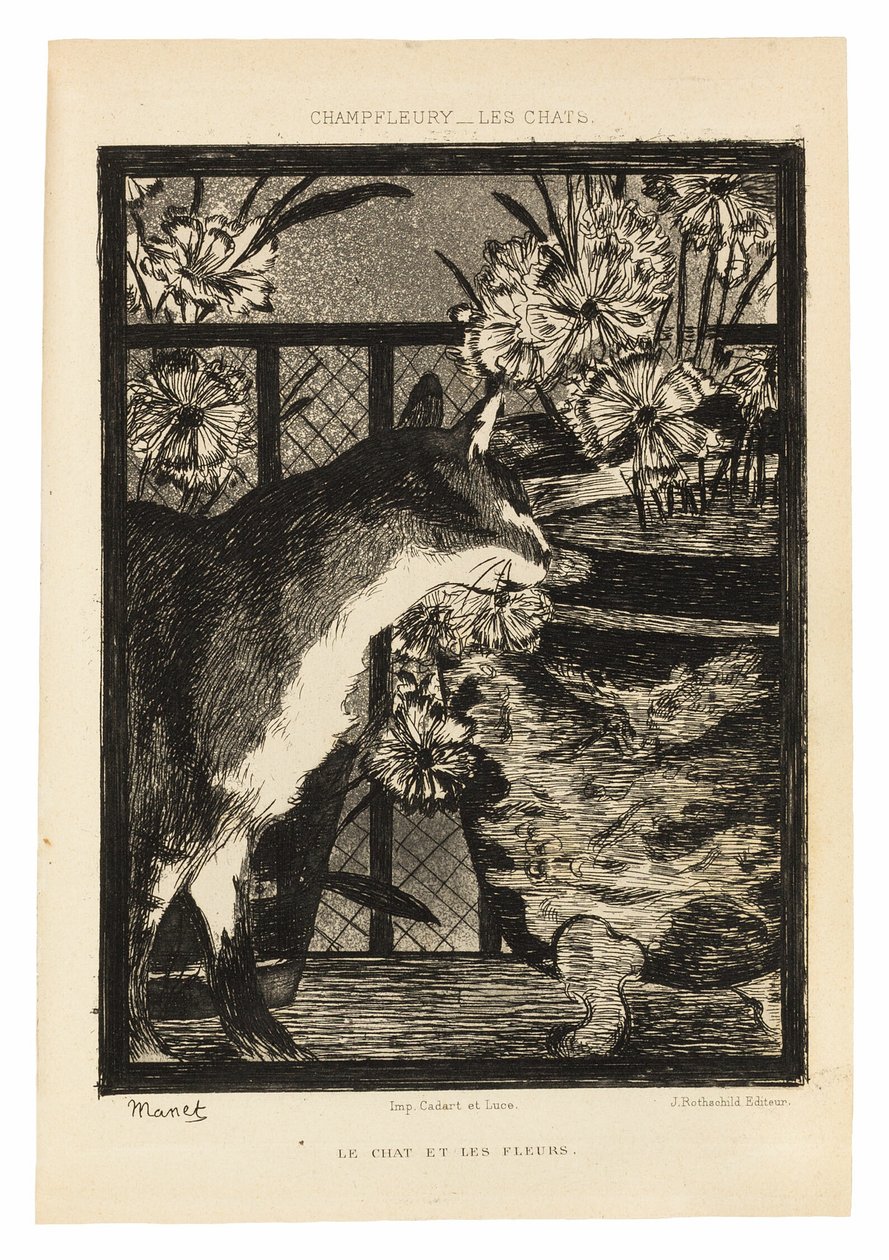 Katten door Édouard Manet