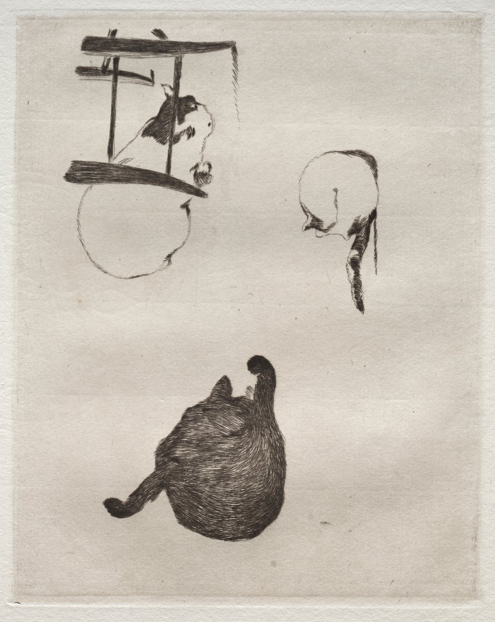 De katten door Édouard Manet