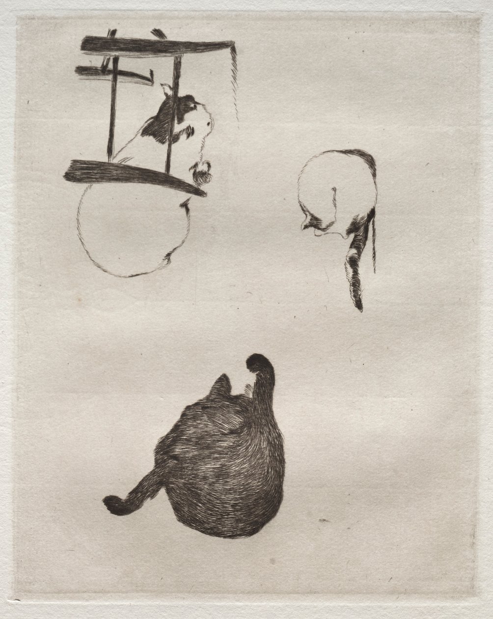 De katten door Édouard Manet