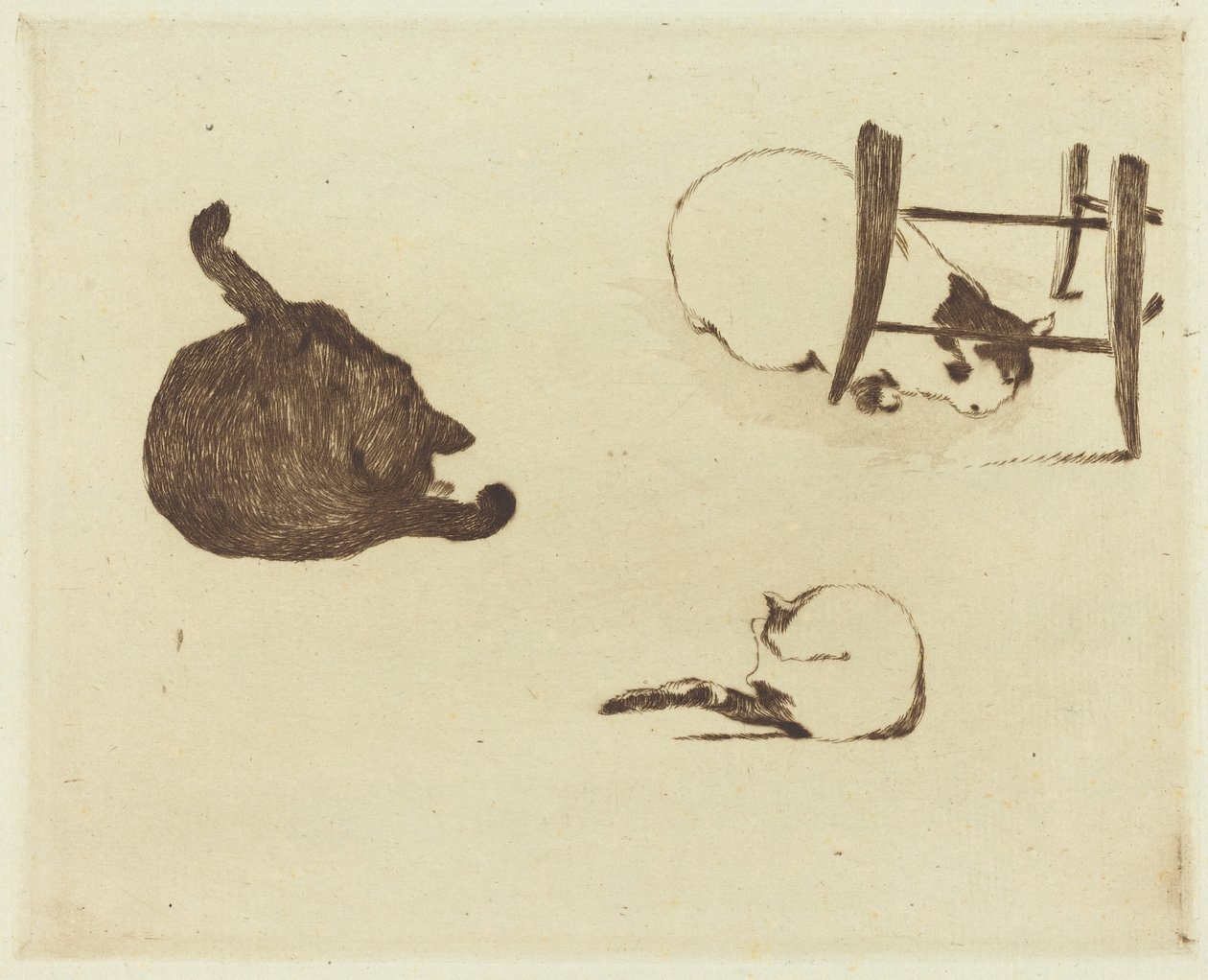 De katten, 1869 door Édouard Manet