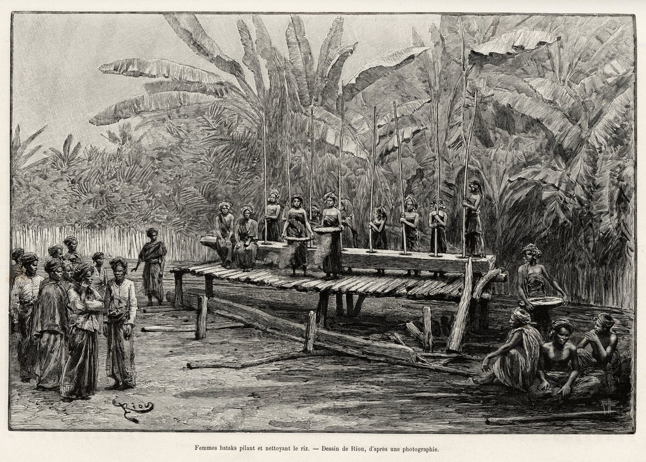 Batak vrouwen, etnische groep van Noord-Sumatra, rijst stampen en schoonmaken. Gravure door Riou. door Edouard Riou