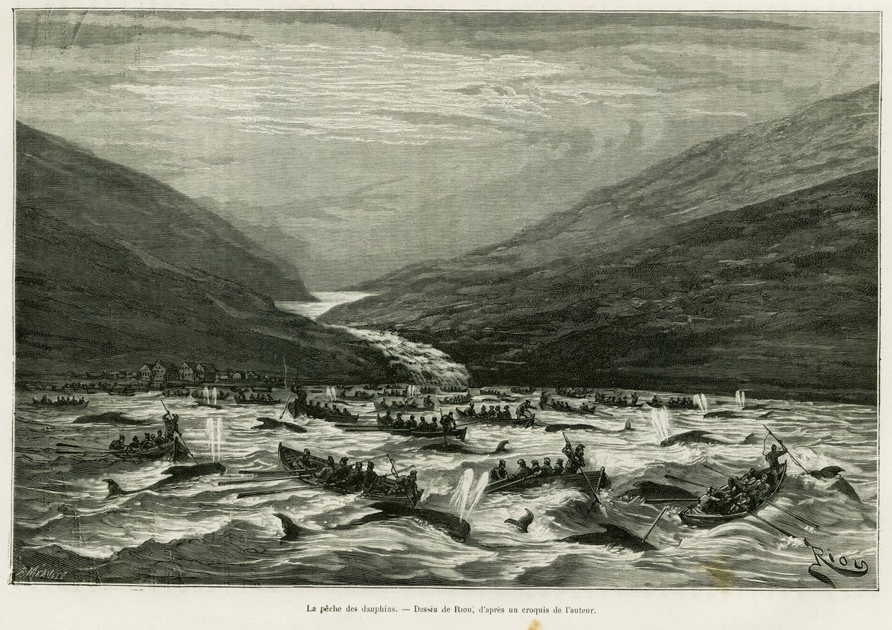 Dolfijnvissen. Gravure door Riou ter illustratie van het verhaal Een maand in de archipel van de Faeröer (Faroer, Feroe, Denemarken), door H.Labonne, in le tour du monde 1887, onder leiding van Edouard Charton (1807-1890), Hachette, Parijs. door Edouard Riou
