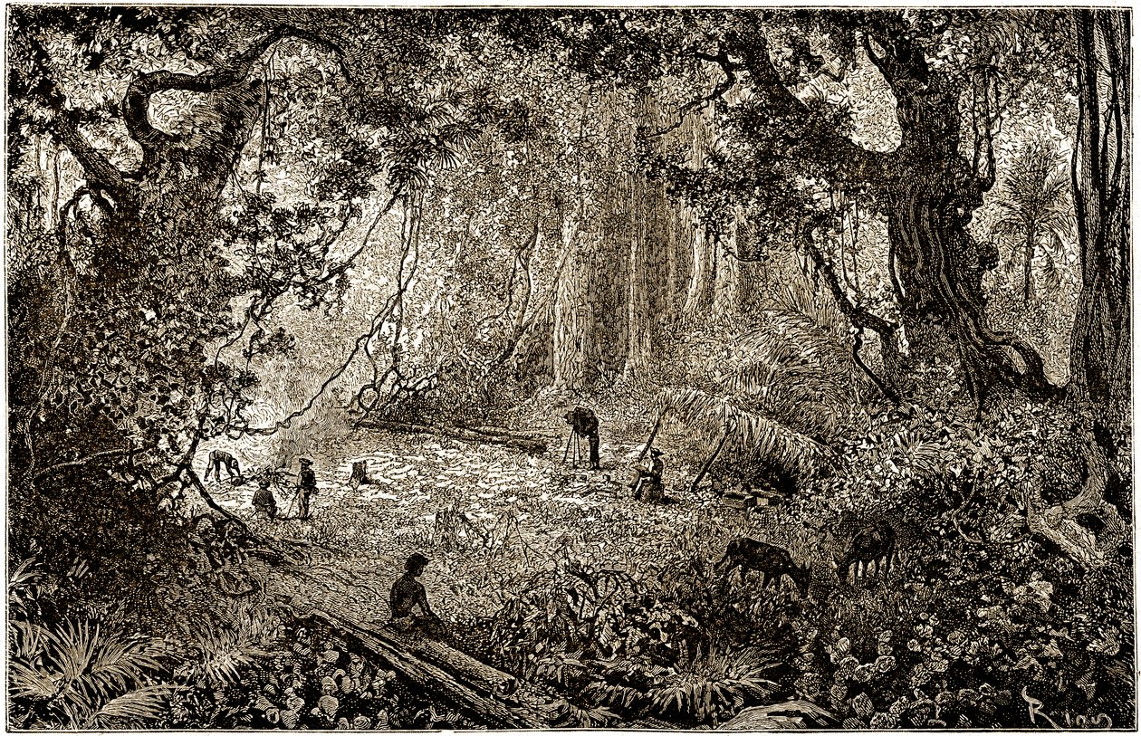 Installatie van een ontdekkingsreizigerskamp in Guatemala (1882) door Edouard Riou