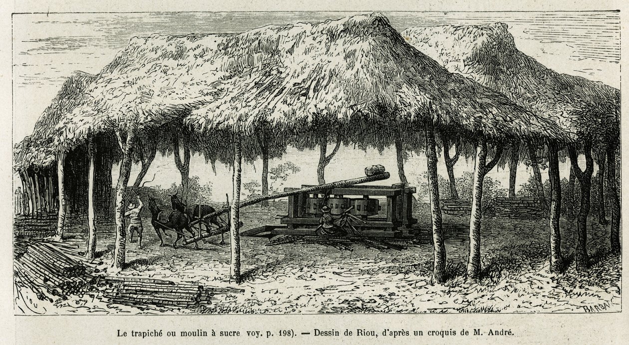 De trapiche, of suikermolen om de suikerriet te malen in Panche (Colombia), tekening door Riou, ter illustratie van het verhaal van Equinoxiale Amerika (Colombia, Ecuador, Peru), 1875-1876, door Ed. Andre, reiziger belast met een missie door de Franse rege door Edouard Riou