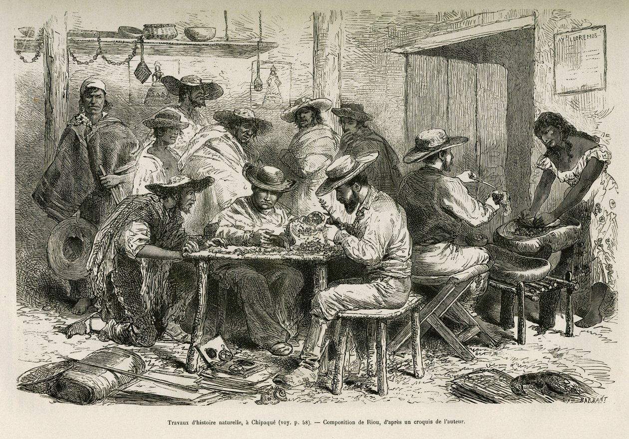 De werken van de natuurlijke historie, in Chipaque (Colombia), de voorbereiding van de uitdroging van planten voor herbarium, onder de nieuwsgierige blik van de Indianen, tekening door E. Riou, ter illustratie van de reis naar equinoxiaal Amerika (Colombia door Edouard Riou