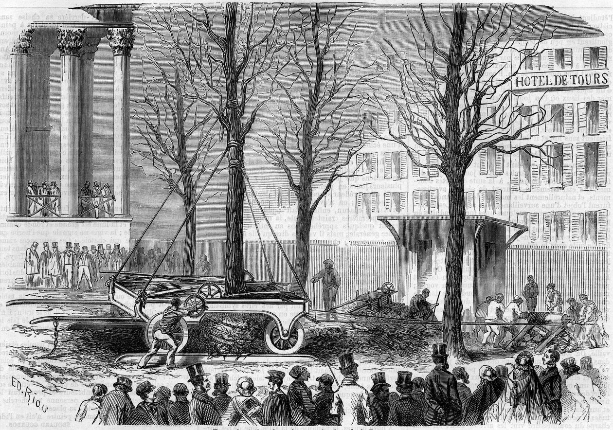 Transplantatie van bomen op Place de la Bourse in Parijs tijdens de winter van 1858. Gravure door Riou in 