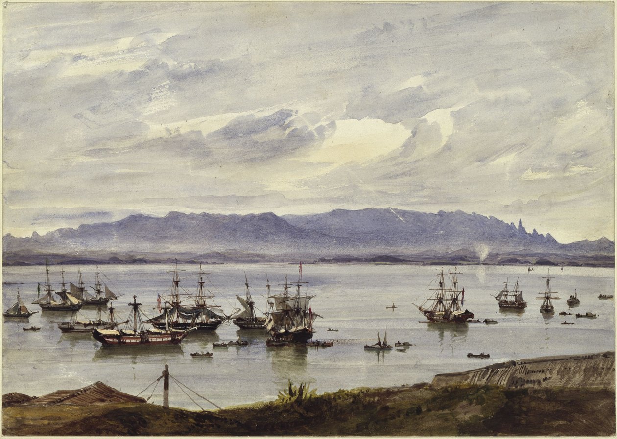 Panorama van Rio de Janeiro door Eduard Hildebrandt