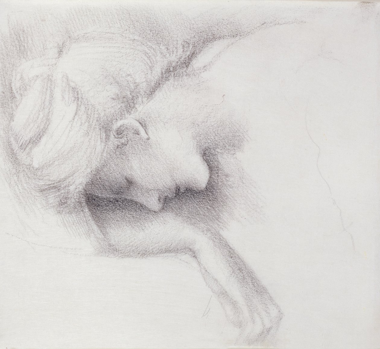 De tuin hof - studie voor de Briar Rose serie, 1888 door Edward Burne-Jones