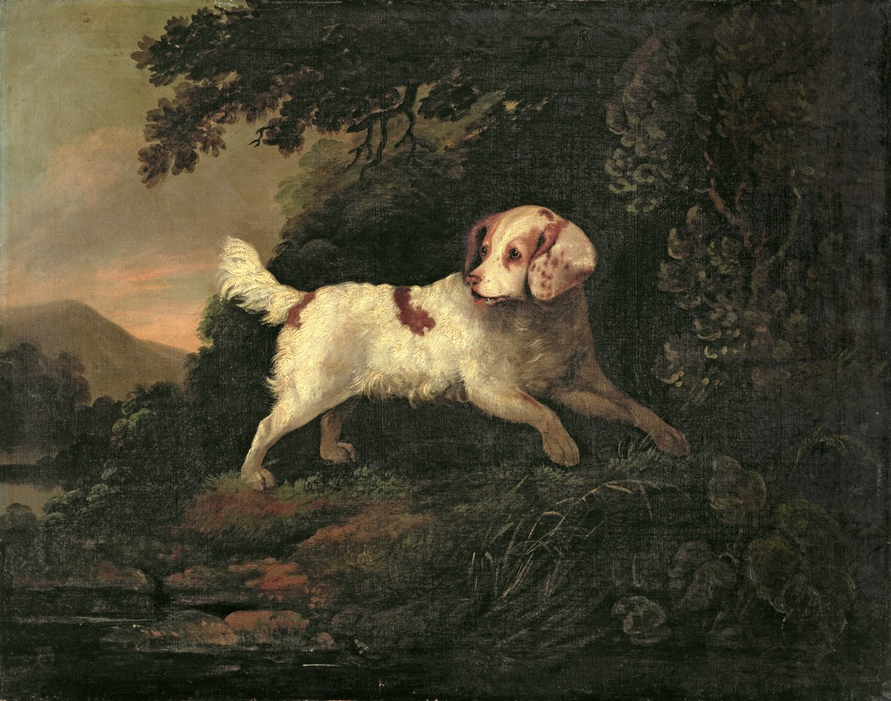 Studie van Clumber Spaniel in bebost rivierlandschap door Edward Cooper
