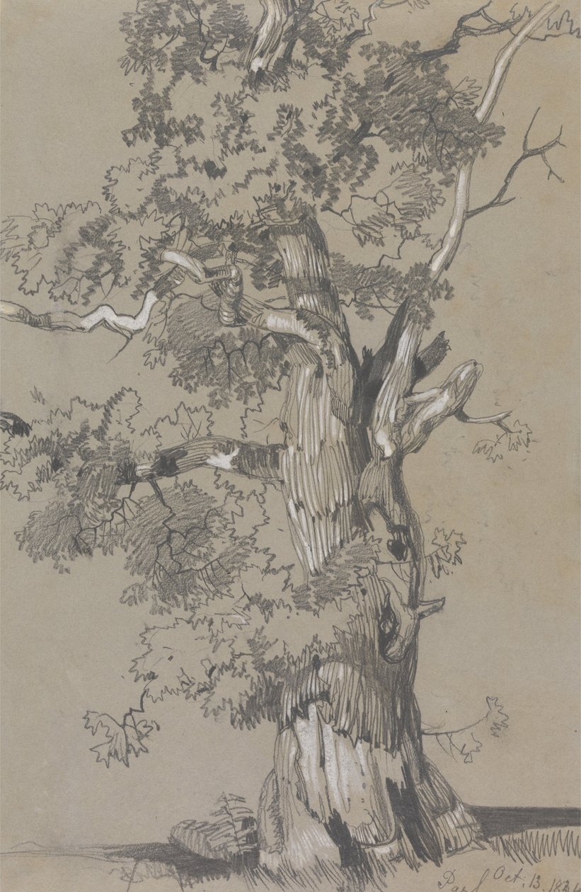 Parham, 13 oktober 1834 door Edward Lear