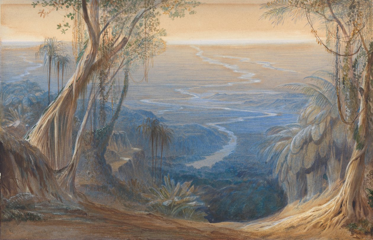 Vlaktes van Bengalen, van boven Siligoree door Edward Lear