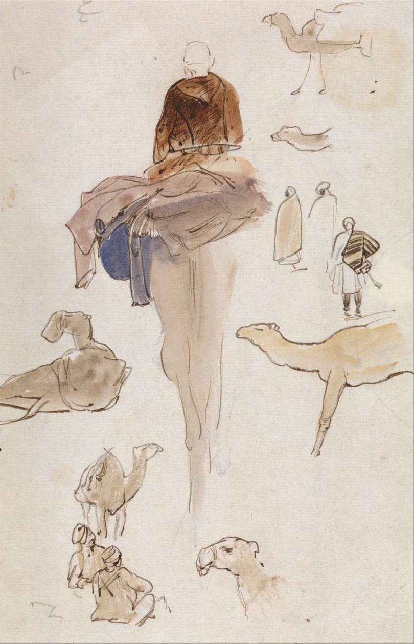 Studies van kamelen door Edward Lear
