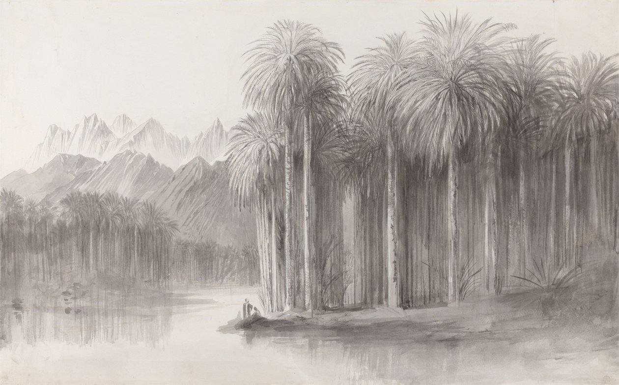 Wady Feiran, schiereiland van de berg Sinaï door Edward Lear