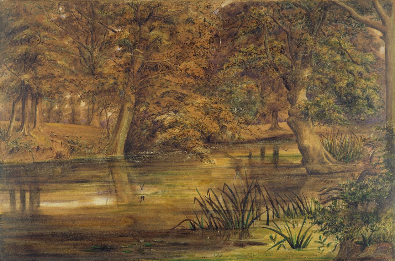 Achterwater van de Bratford, 1864 door Edward W. Fitch