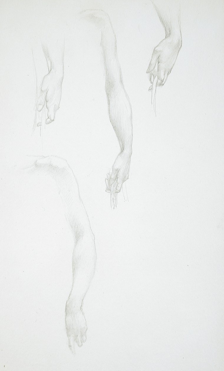 Studies van armen en handen (voorkant); Studie van een vrouwelijk torso (achterkant) door Edward Burne-Jones