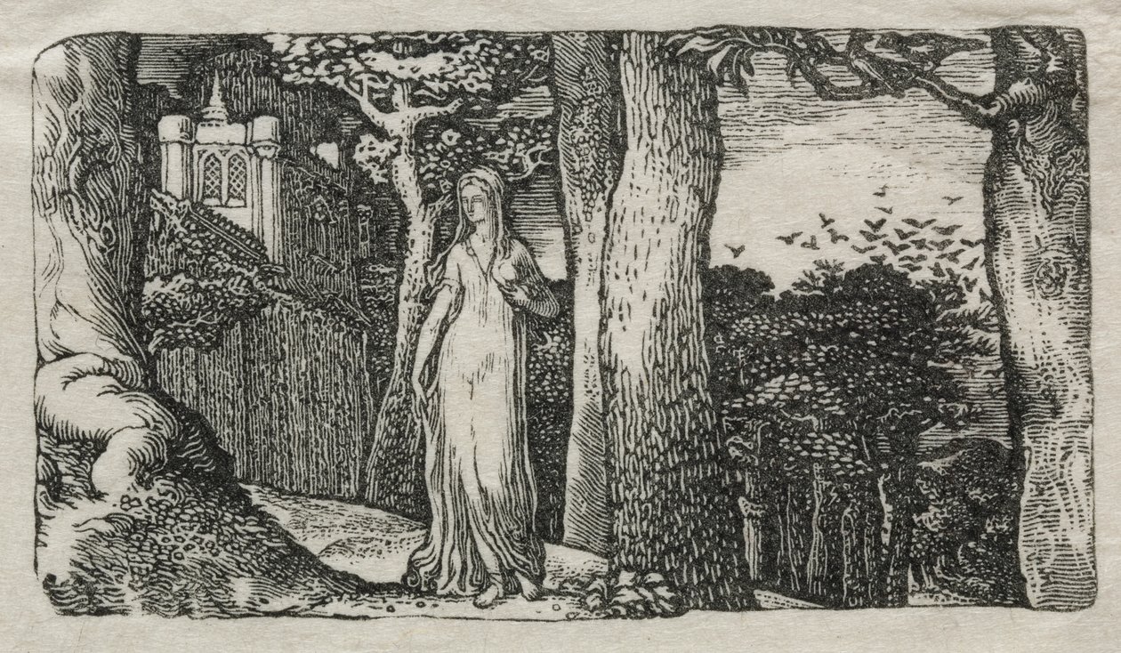 De dame en de roeken door Edward Calvert