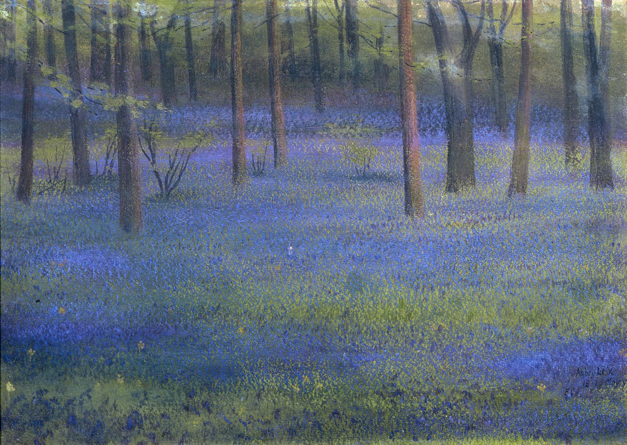 Bluebell Bos door Edward Clifford