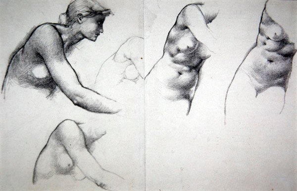 De boom van vergeving - Studie voor de figuur van Phyllis door Edward Coley Burne Jones