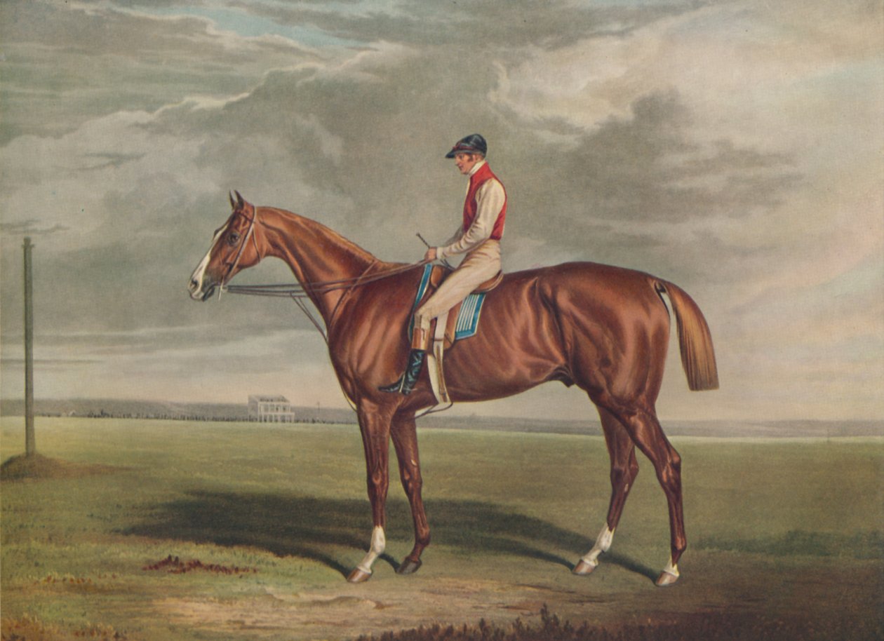 Velocipede, winnaar van de St. Leger door Edward Duncan
