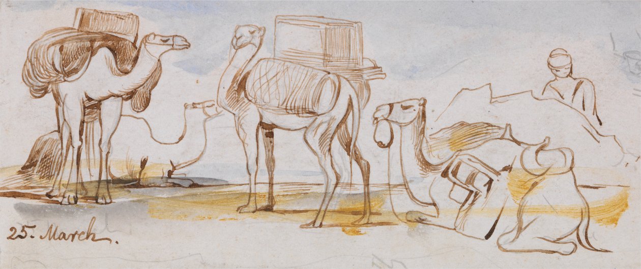Camels door Edward Lear
