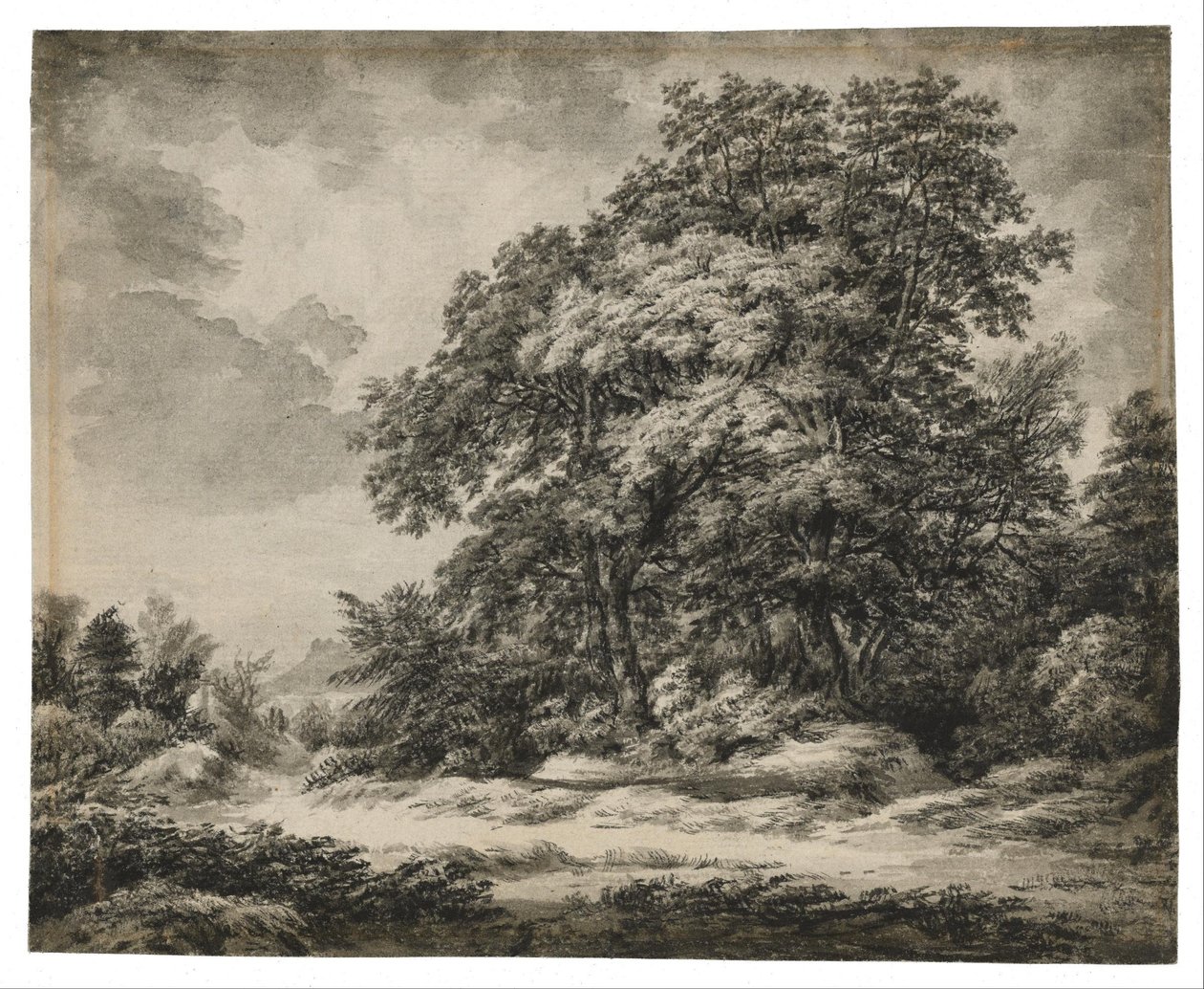 Boslandschap door Edward Lear