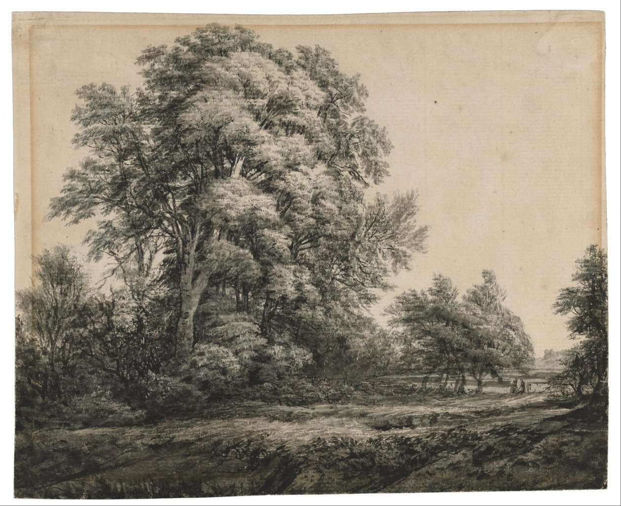 Boslandschap door Edward Lear