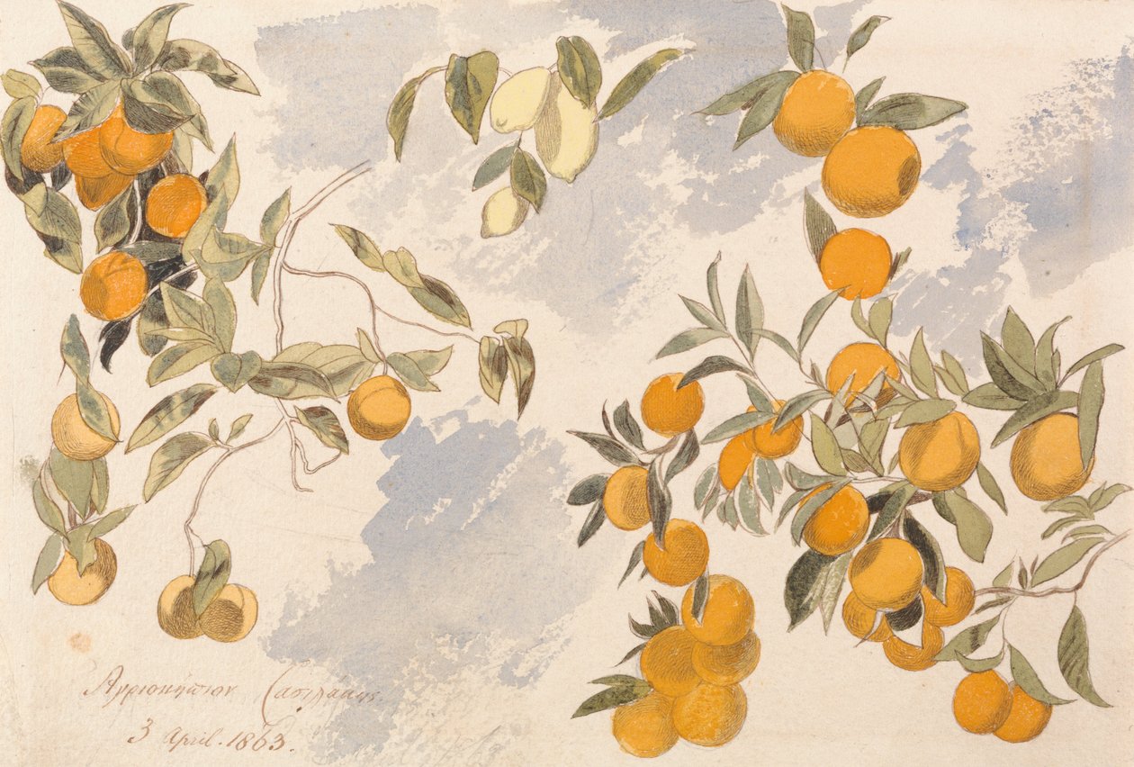 Fruitbomen, 3 april 1863 door Edward Lear
