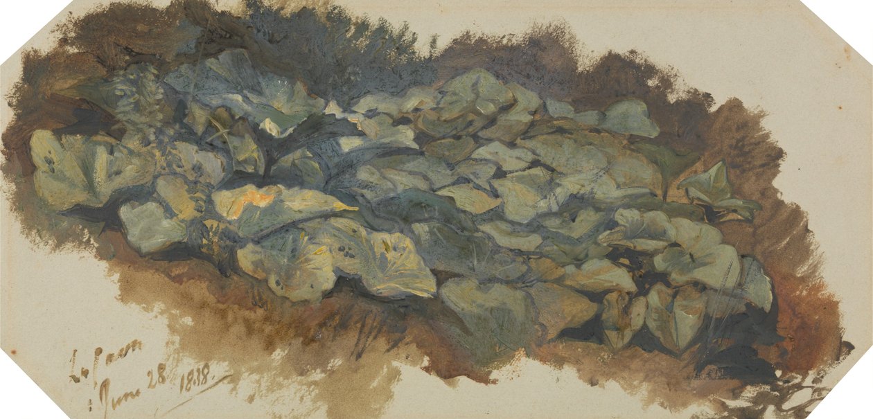 La Cava door Edward Lear