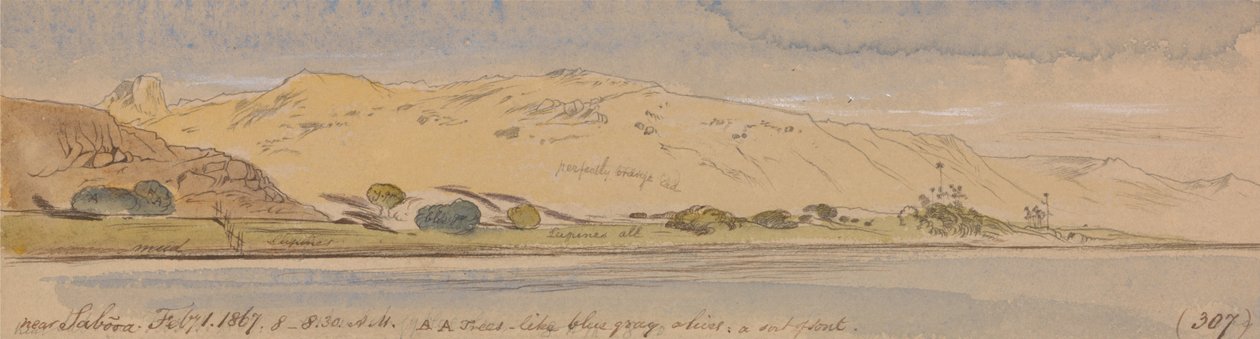 Omgeving Sabooa door Edward Lear