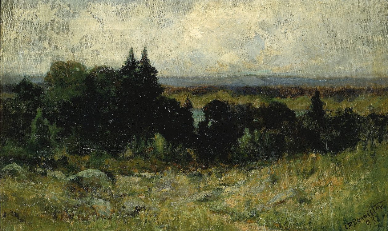 Zonder titel (landschap, velden met rotsen en bomen) door Edward Mitchell Bannister