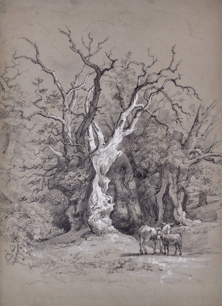 Landschap met boom door Edward Pretty