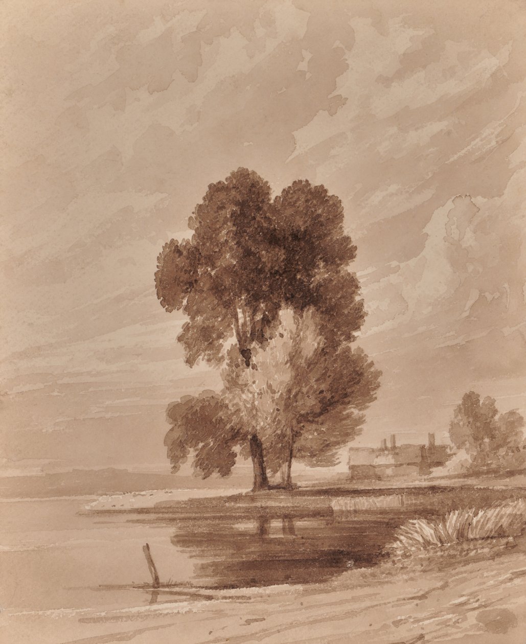 Landschap met bomen door Edward Pretty