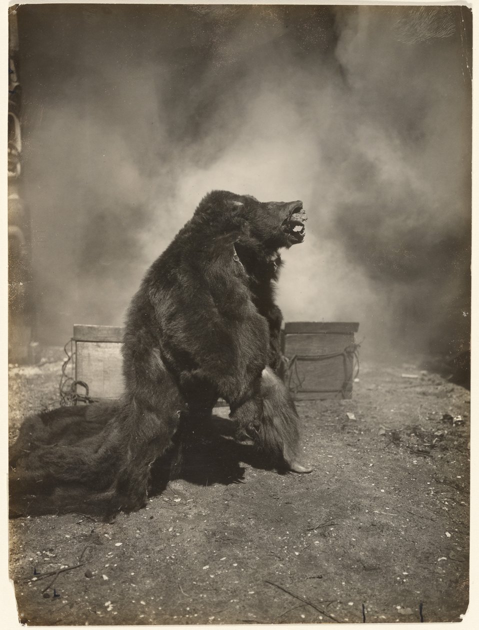 Laat de sluwe zwarte beer zijn dans doen door Edward S. Curtis