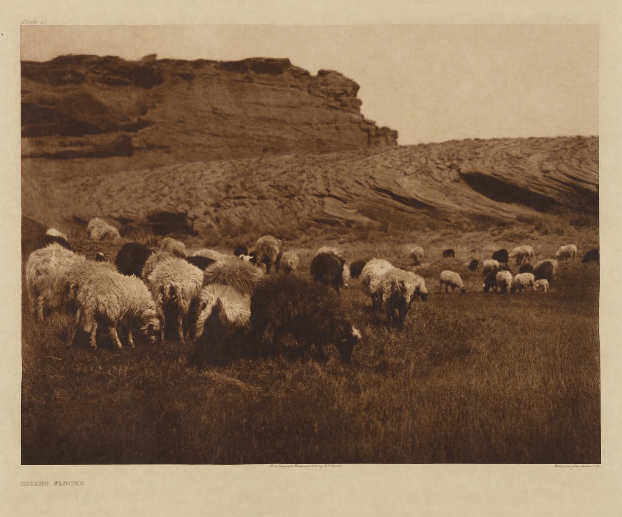 [Navajo-kudden] door Edward S. Curtis