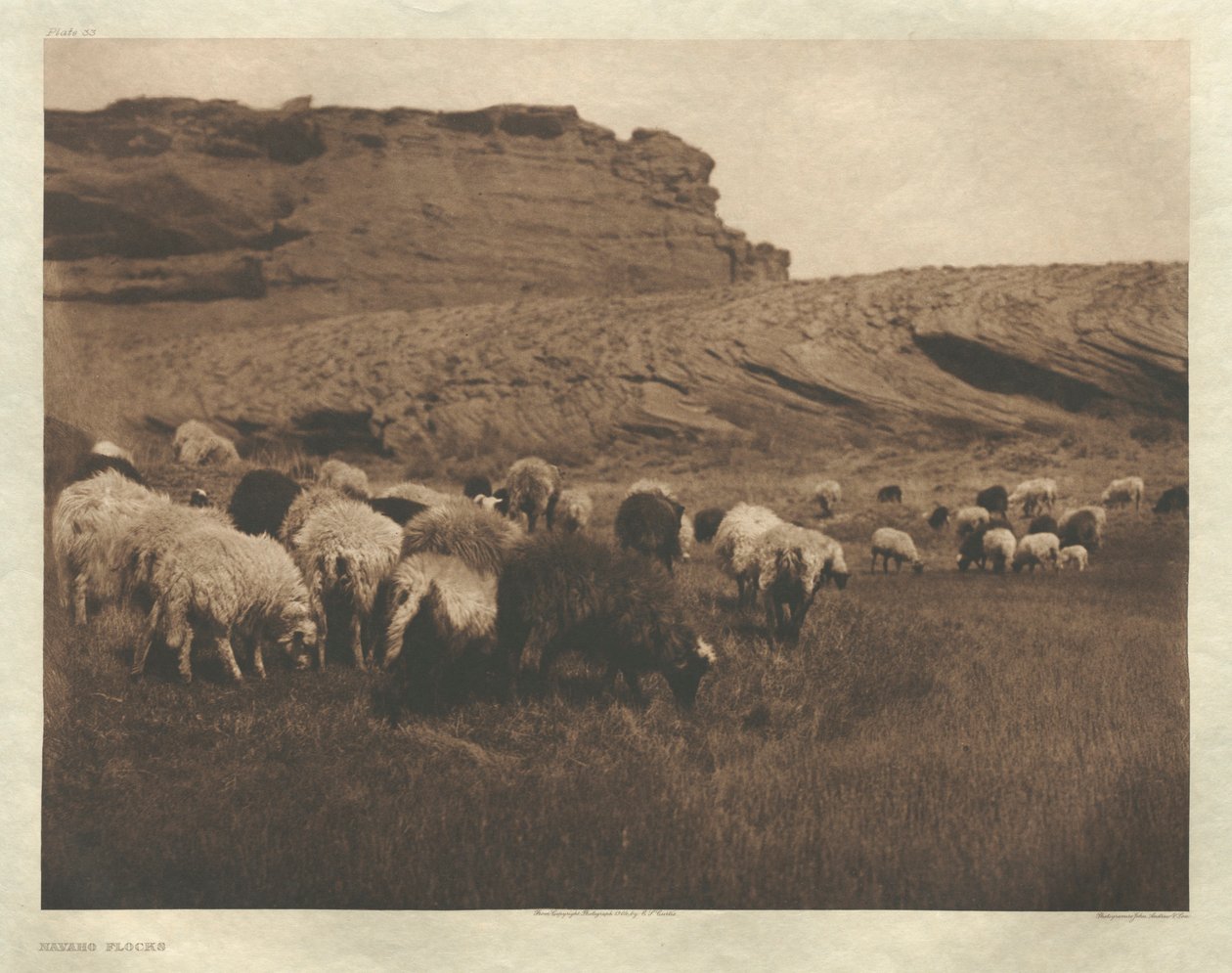 Portfolio I, Plaat 33: Navaho Kuddes door Edward S. Curtis